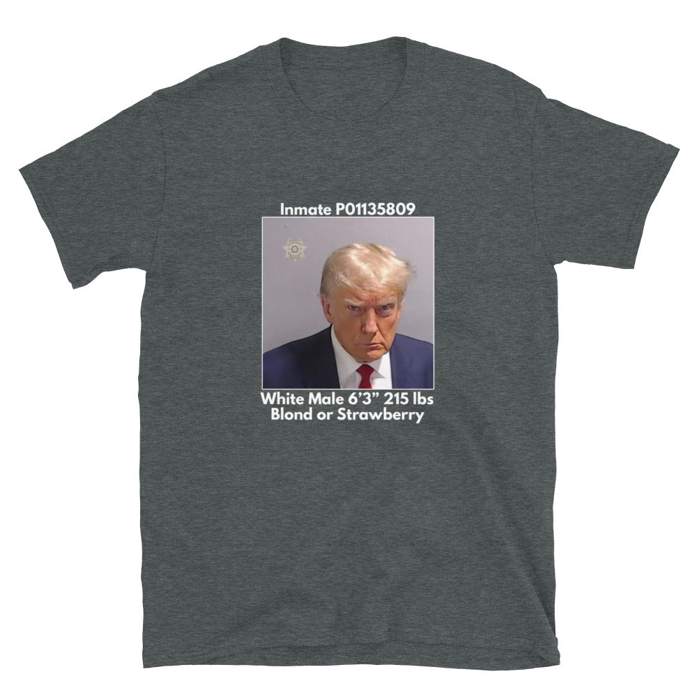 Trump Mugshot Tee