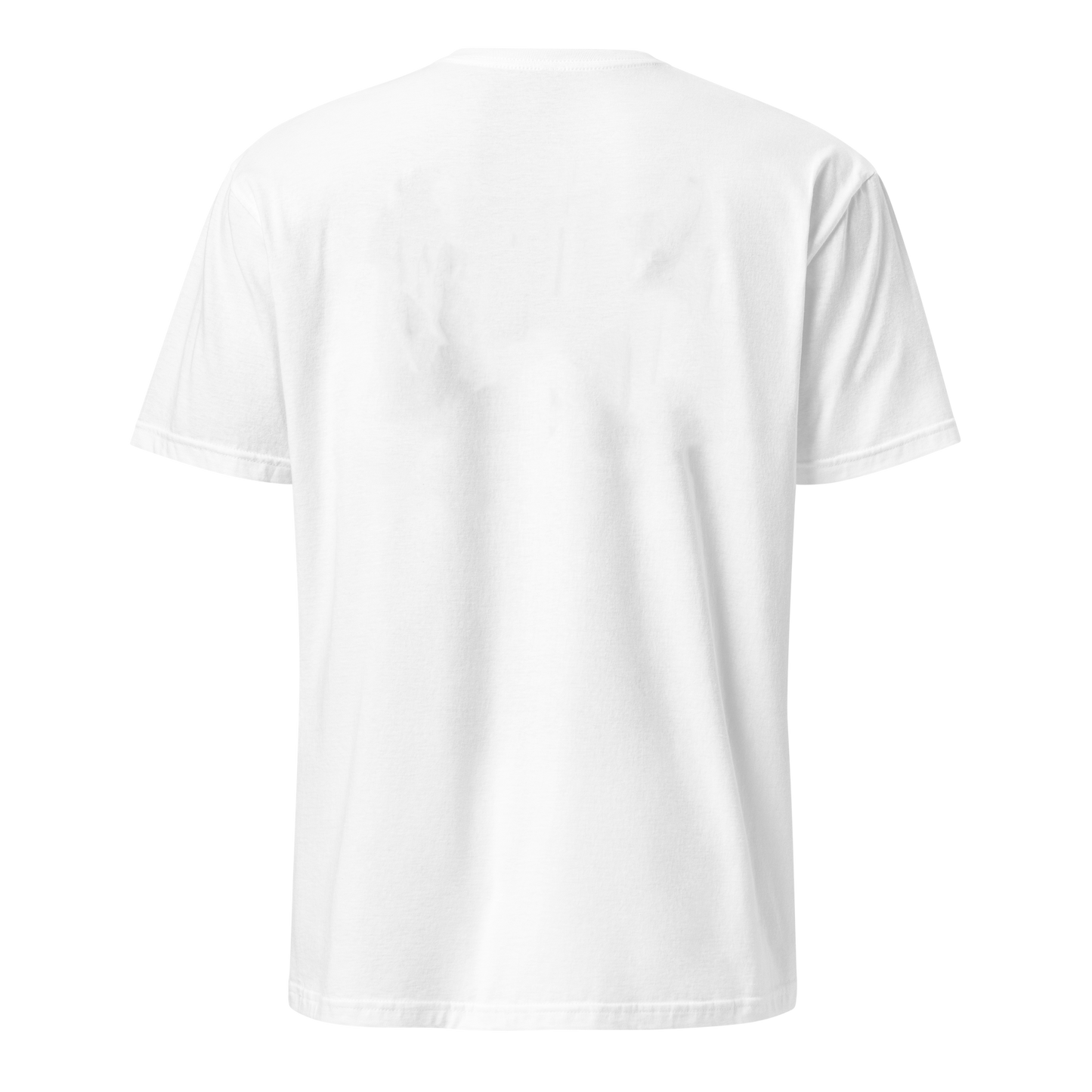 This Shirt Won't Hang Itself and Neither Did Epstein